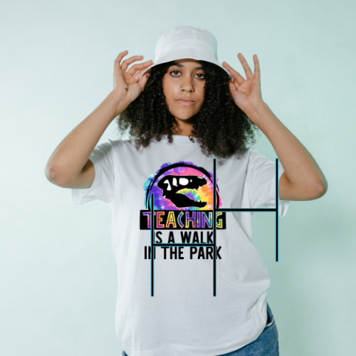 Teaching is a Walk in the Park HTV Transfer