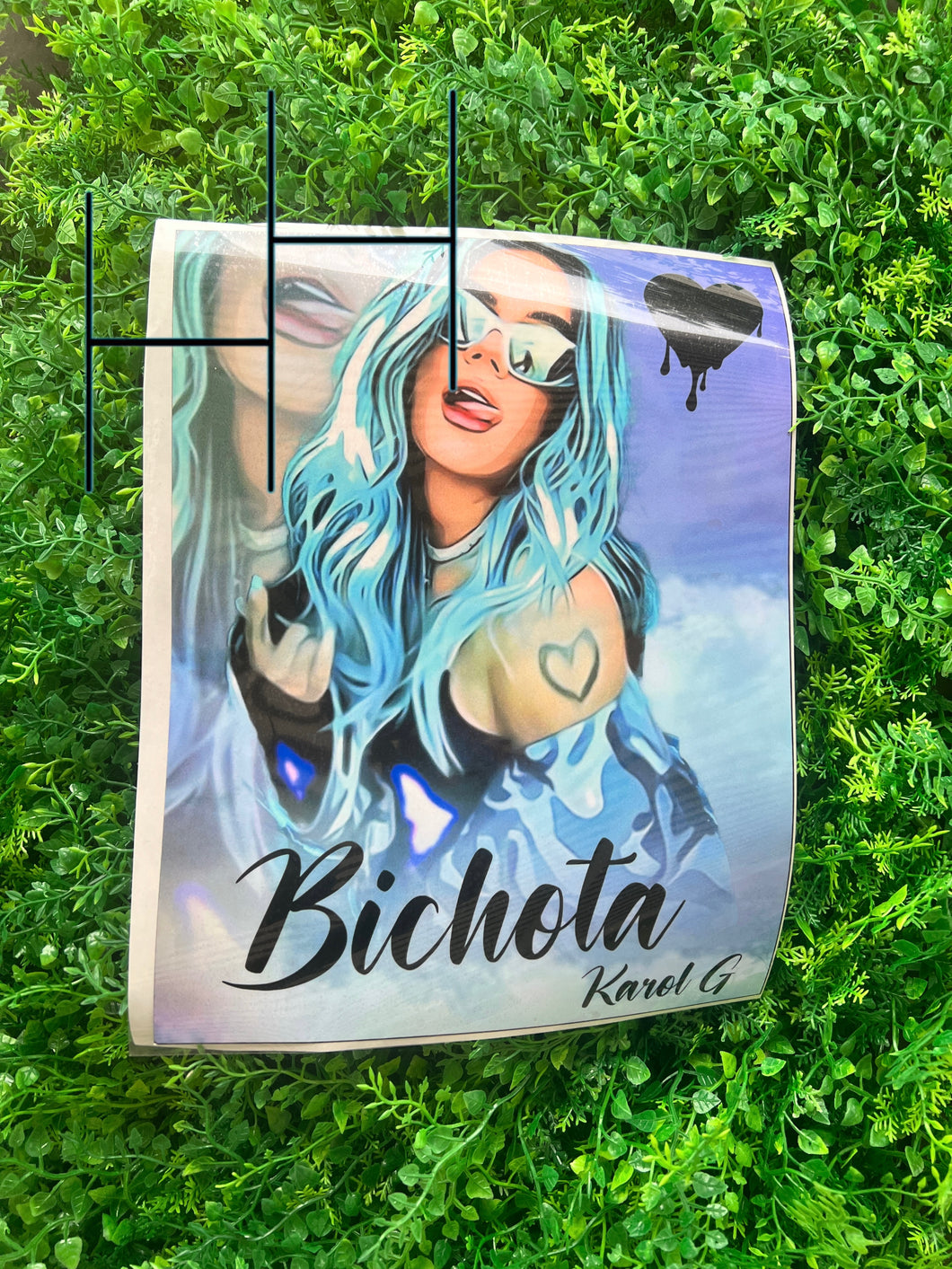 Bichota HTV Transfer